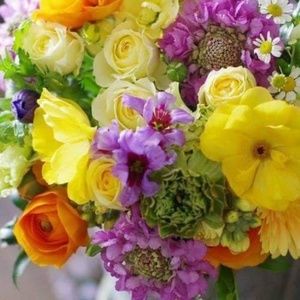 Meet your Posher, Dianne